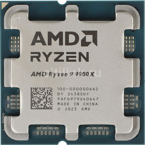 AMD Ryzen 9 9900X