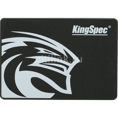 Kingspec P3-256