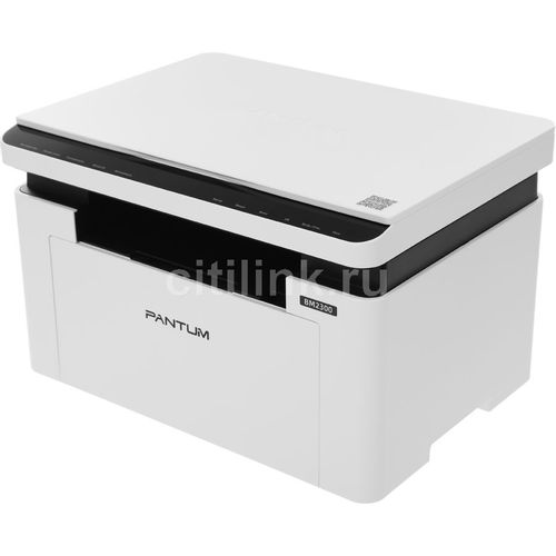 Pantum BM2300