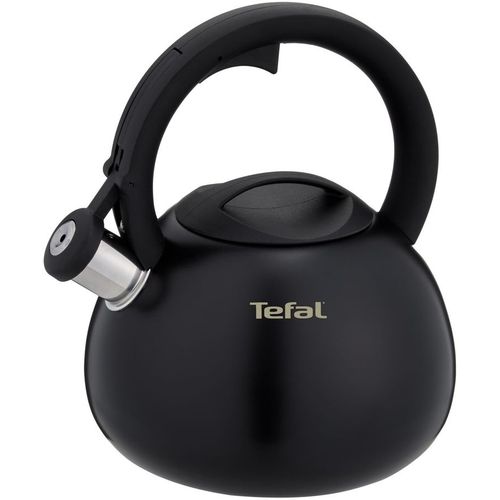 Tefal N4180417